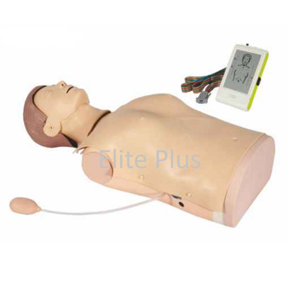 CPR-1950S Advanced Half-Body CPR Training Manikin with Monitor