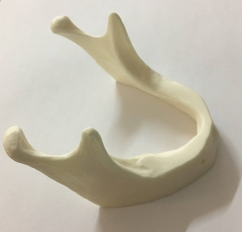 Simple Implant Mandible
