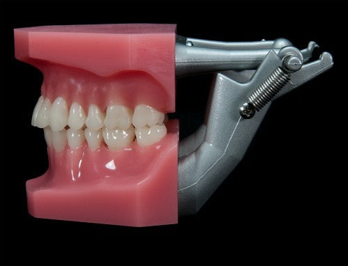 Spring-Loaded Plastic Articulator