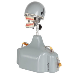 iTorso Dental Chair mount Manikin