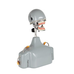 iTorso Dental Phantom Head with Advanced Articulator