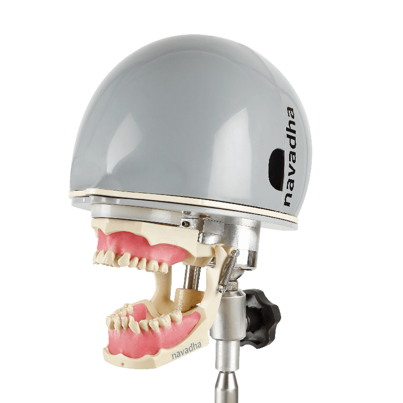 Orthodontic dental phantom head manikin