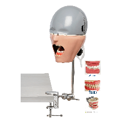 iSim Universal benchmount dental phantom head manikin