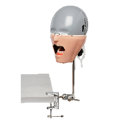 iSim benchmount dental phantom head manikin & With Jaw&With Drainage