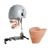 iSim chair neck mount dental phantom head manikin & With Jaw With Articulator&With Drainage