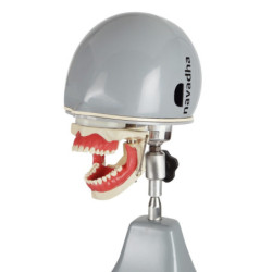 Anaesthesia Head with Chairmount Torso