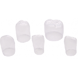 Dental Transparent Strip Crowns Posterior