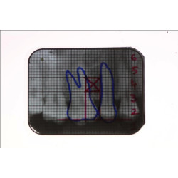 Dental Xray Measuring Grid