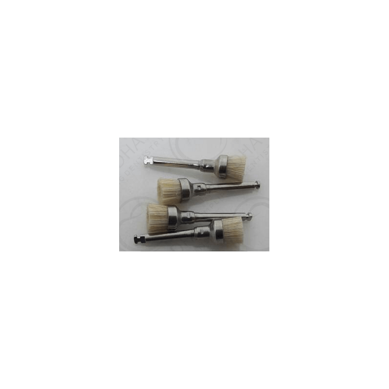 Prophy Brushes & Prophy Bristle Small Cup RA Shank (Pack of 10)