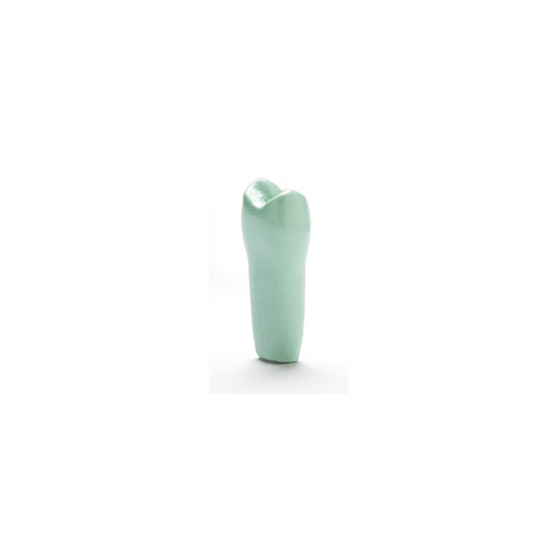EP-TPR-860 #13 PIT/FIS (Sealant Teeth-GR)
