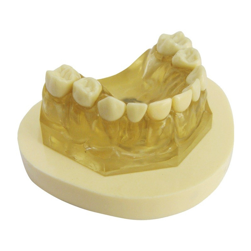 Base for Pedo Jaw