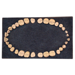Navadha ZX Dental Typodont Teeth Set