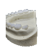 Radio-opaque X-Ray Dental Model