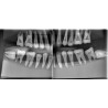 Radio-opaque X-Ray Dental Model