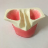 Model of jaw in transparent resin for sinus lifting