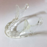 Transparent Implant Mandible
