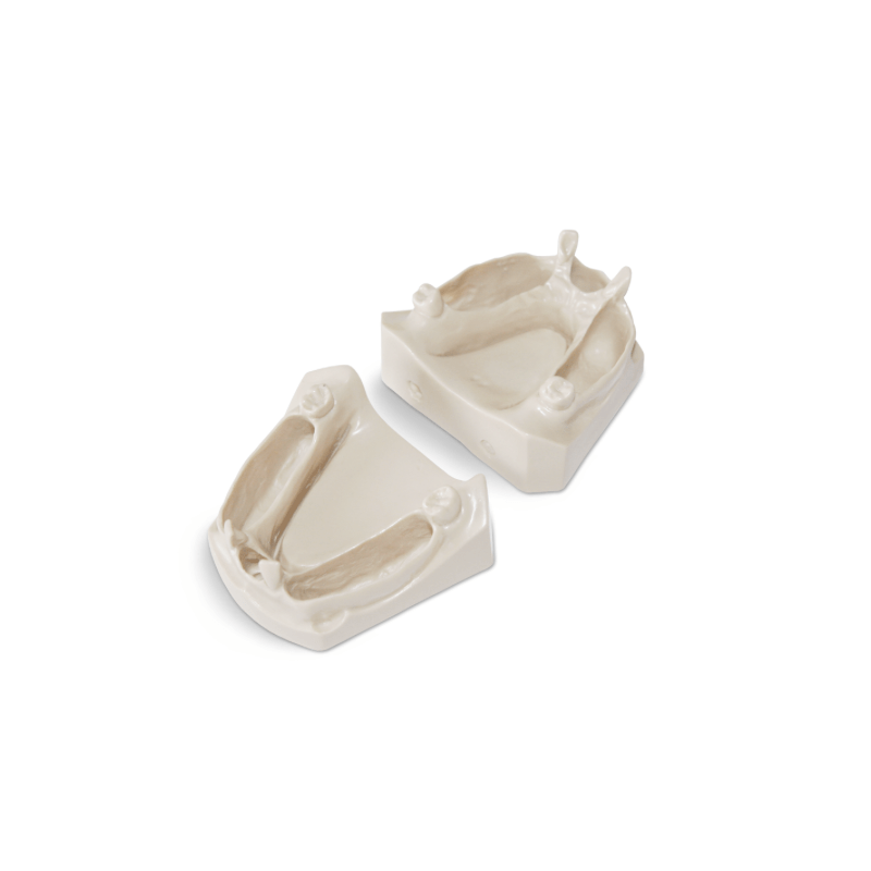 Dental Jaws for natural extracted teeth placement