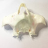 Full-Scale Anatomical Jaw Model with Sinus – Zygomatic Implant Training