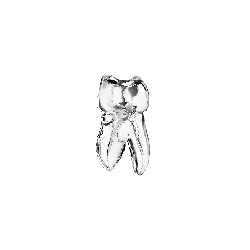 Endo teeth with a clear root canal -11