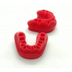 Wax Rim Class 2 for Orthodontic Articulator - Div 2