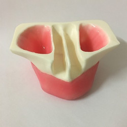 Model of gum for SP042 and SP062