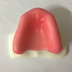 Sinus Lift model - White Resin & Model of jaw in white resin for sinus lifting