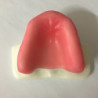 Sinus Lift model - White Resin & Model of jaw in white resin for sinus lifting