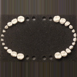 Teeth Set