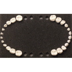 Paediatric Mixed Dentition Typodont Practice Jaw set & Jaw