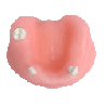 Mandible & Maxilla with Soft Gums for Implant Training & U+L Models with gums
