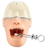 Oral Anaesthesia Training Manikin, Anesthesia