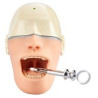 Oral Anaesthesia Training Manikin, Anesthesia