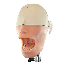 Oral Anaesthesia Training Manikin, Anesthesia