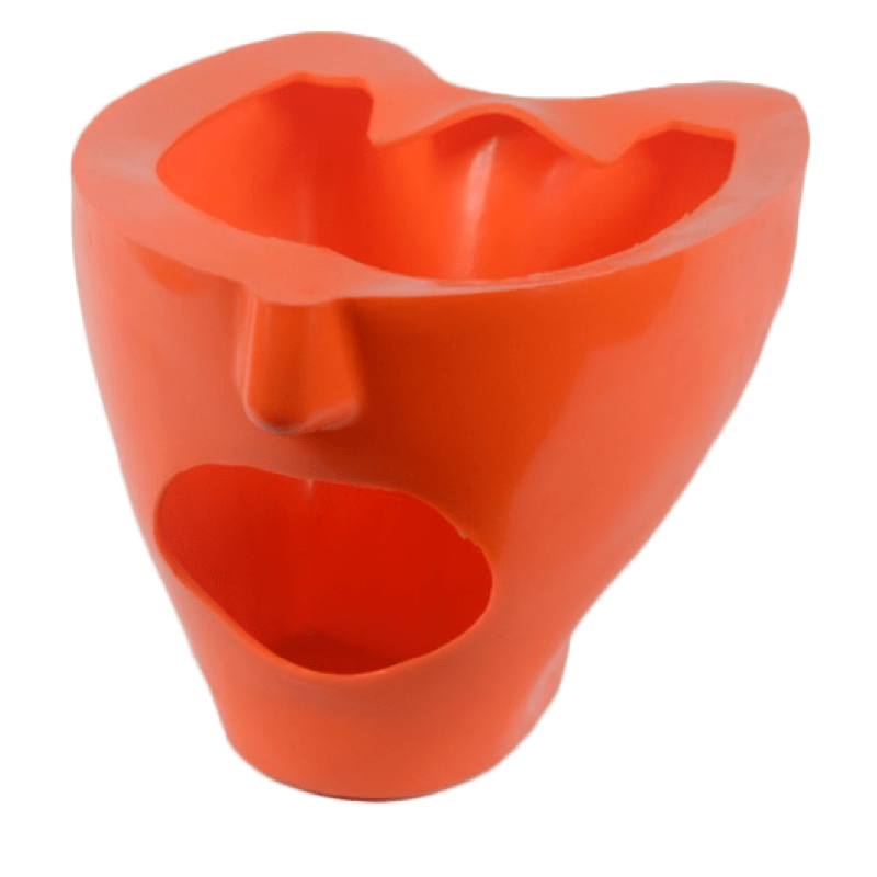 ADC Dental Manikin Fletcher & Without Drainage
