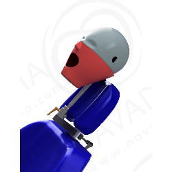 OSCE / ADC Manikin Bench + Chair Mount & With ADC PVR 860 Magnetic Jaws & Articulator&Navadha Fletcher