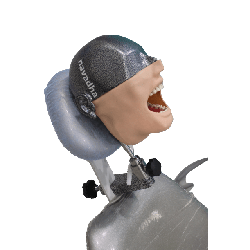 NEO OSCE / ADC Manikin Dental Phantom Head & Bench Table Mounting&With ADC Magnetic Jaws & Articulator&Without Mask