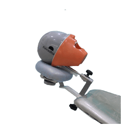 ADC Dental Chair Mount Manikin with Navadha Fletcher with ADC Magnetic Jaws