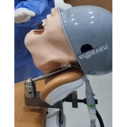 ADC Dental Chair Mount Manikin with ADC DM1 Mask & Magnetic Jaws
