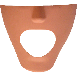 iPhantom dental manikin Fletcher