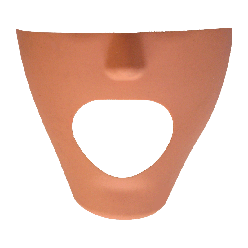 iPhantom dental manikin Fletcher
