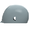 iSim dental manikin Skull