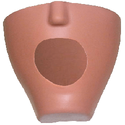 iSim dental manikin Fletcher & With drainage