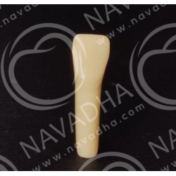 Frasaco AG-3 ZE Typodont Teeth & 32