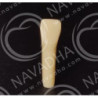 Frasaco AG-3 ZE Typodont Teeth & 32