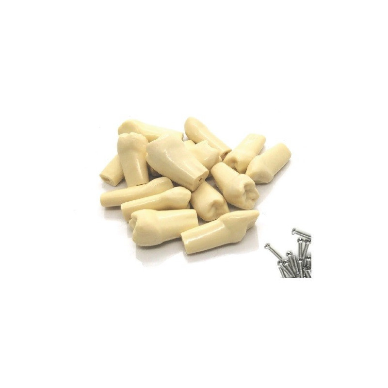 Navadha ZX replacement Teeth