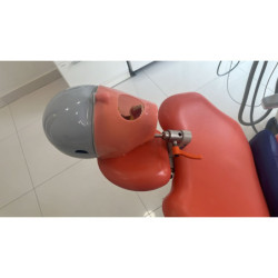 Navadha ORE Exam Dental Training Manikin