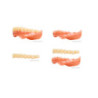 CROWNTEC Resin for Dental 3D printing - 500 gm & REF 8052 A2