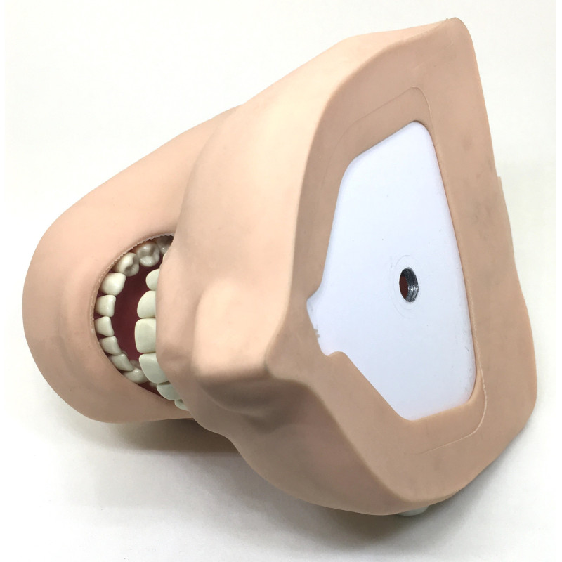 Upgrade Navadha Manikin to DM1 Mask & With DM1