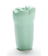 Pit Fissure Sealant Teeth