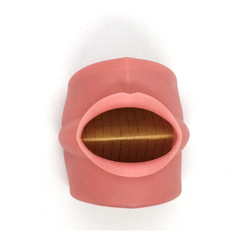 Universal Oral Cavity Cover for typodont Jaws & Without